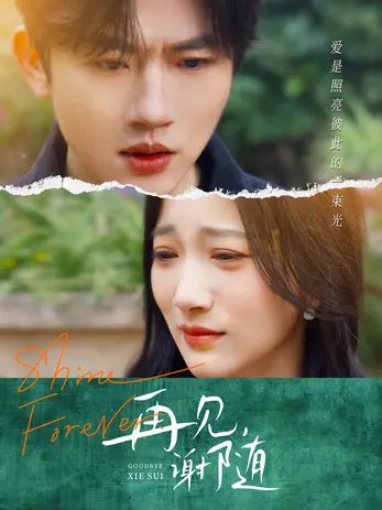 《再见谢随》全集高清完整版在线观看与剧情解析