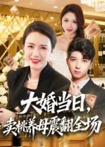 《大婚当日,卖桃养母震翻全场》全集高清完整版在线观看与剧情解析