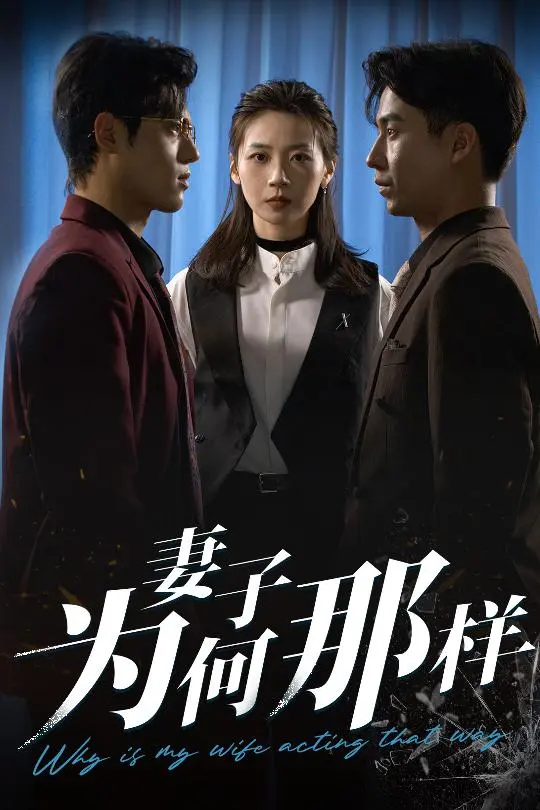 《妻子为何那样》全集高清完整版在线观看与剧情解析