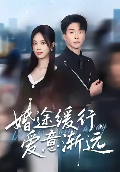 《婚途缓行，爱意渐远》全集高清完整版在线观看与剧情解析