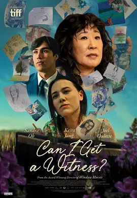 《我能有个见证人吗》全集高清完整版在线观看与剧情解析
