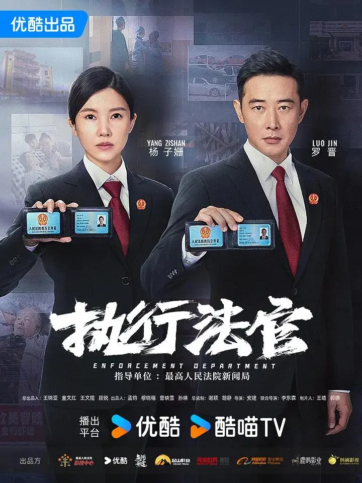 《执行法官》全集高清完整版在线观看与剧情解析