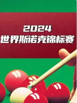 《斯诺克英锦赛 肖国栋4-6大卫·吉尔伯特20241124》全集高清完整版在线观看与剧情解析