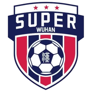 武汉城市足球超级联赛 黄陂区5.0新洲区20250823