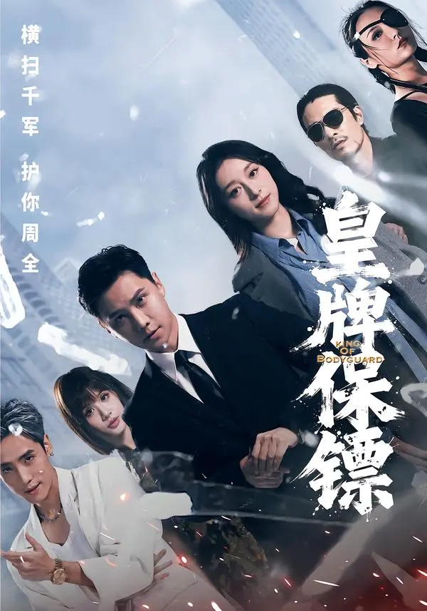 《皇牌保镖》全集高清完整版在线观看与剧情解析