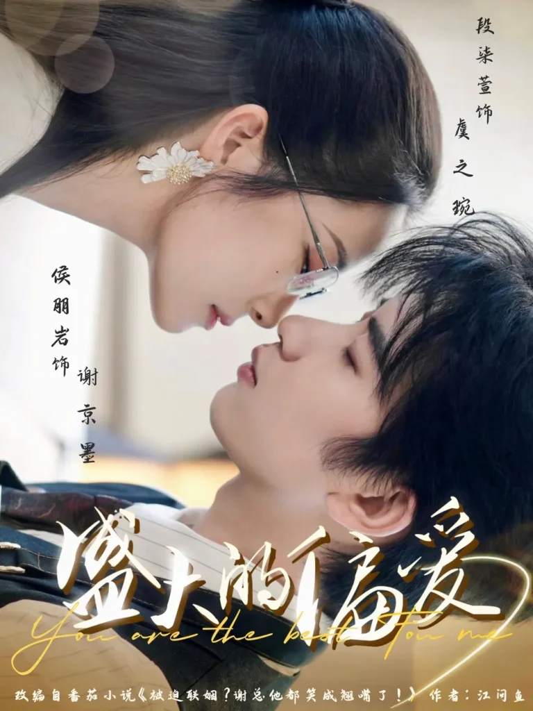 《盛大的偏爱》全集高清完整版在线观看与剧情解析