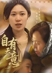 《自有天意》全集高清完整版在线观看与剧情解析