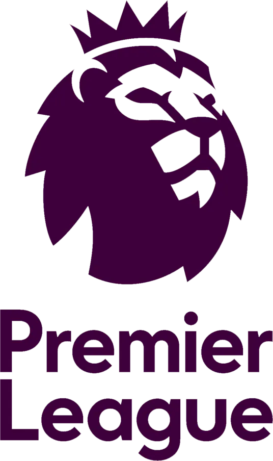 英超 托特纳姆热刺vs狼队20241229