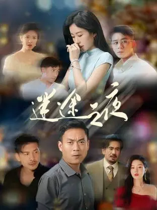 《迷途之夜》全集高清完整版在线观看与剧情解析