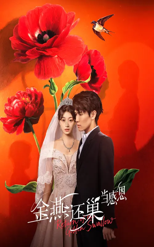 《金燕还巢当感恩》全集高清完整版在线观看与剧情解析