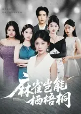 《麻雀岂能栖梧桐》全集高清完整版在线观看与剧情解析