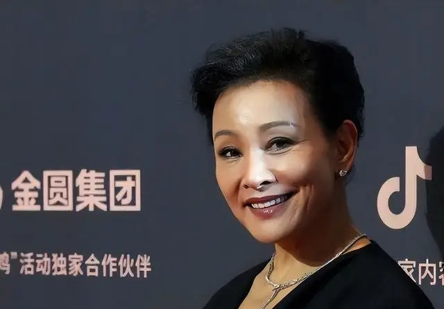 陈冲回忆录《猫鱼》出版披露留美初期医疗遭遇 - 相关图片